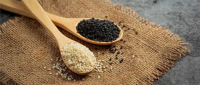 Digestive Health and Metabolism