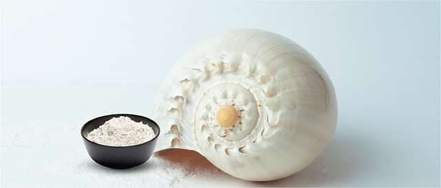 Digestive Health and Metabolism