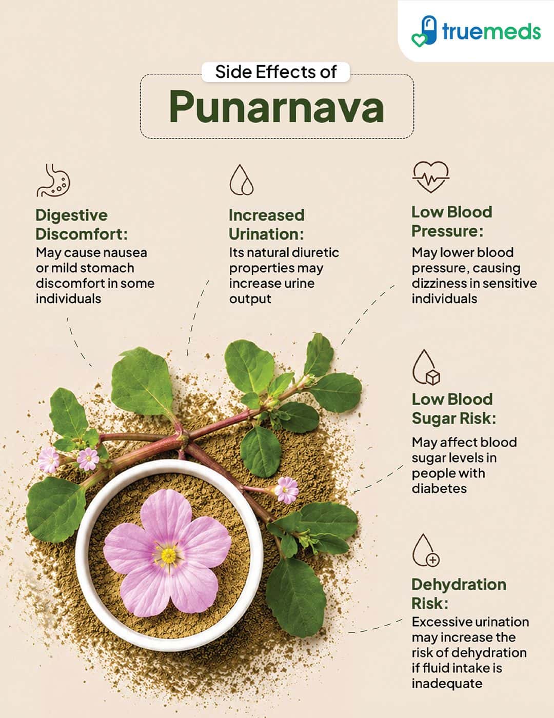image of side effects of punarnava