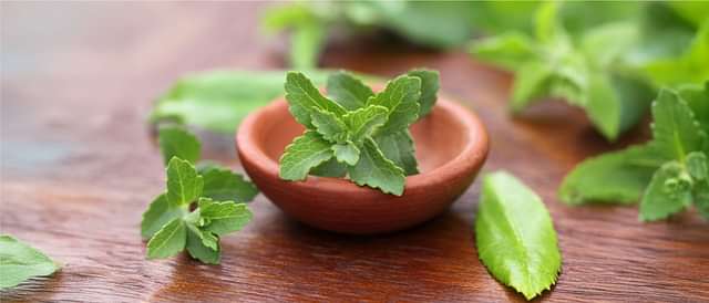 Weight Management & Metabolic Health