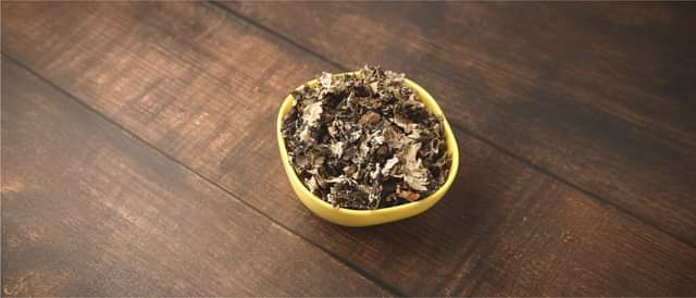 Digestive Health and Metabolism