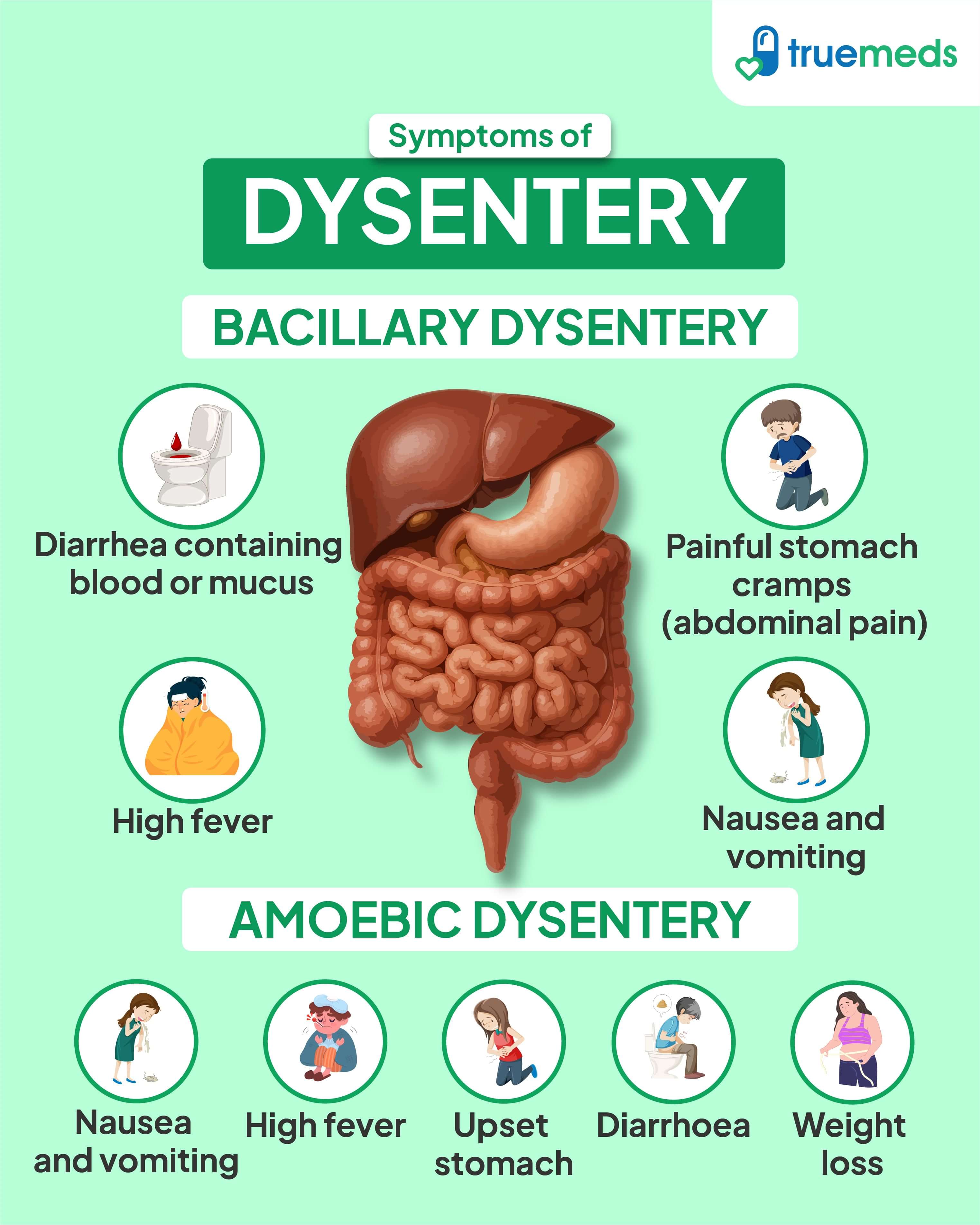 Infographic showing symptoms of dysentery, including differences between bacillary and amoebic dysentery such as bloody diarrhea, abdominal pain, fever, vomiting, and weight loss.