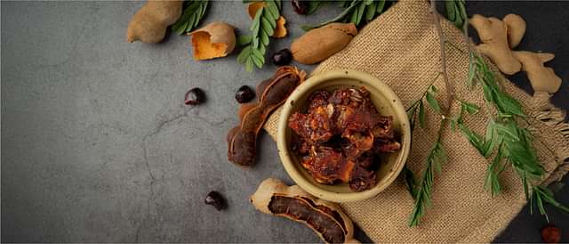 Digestive Health and Metabolism