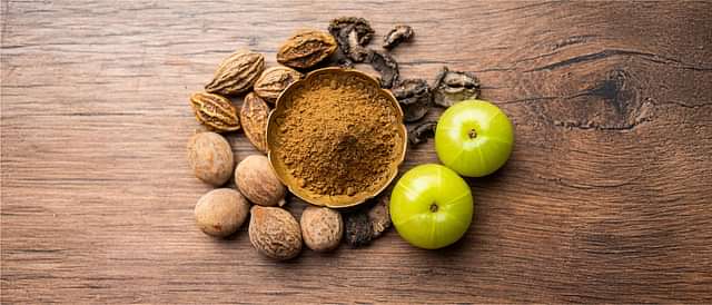 Digestive Health and Metabolism