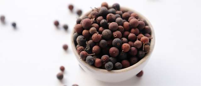 Digestive Health and Metabolism