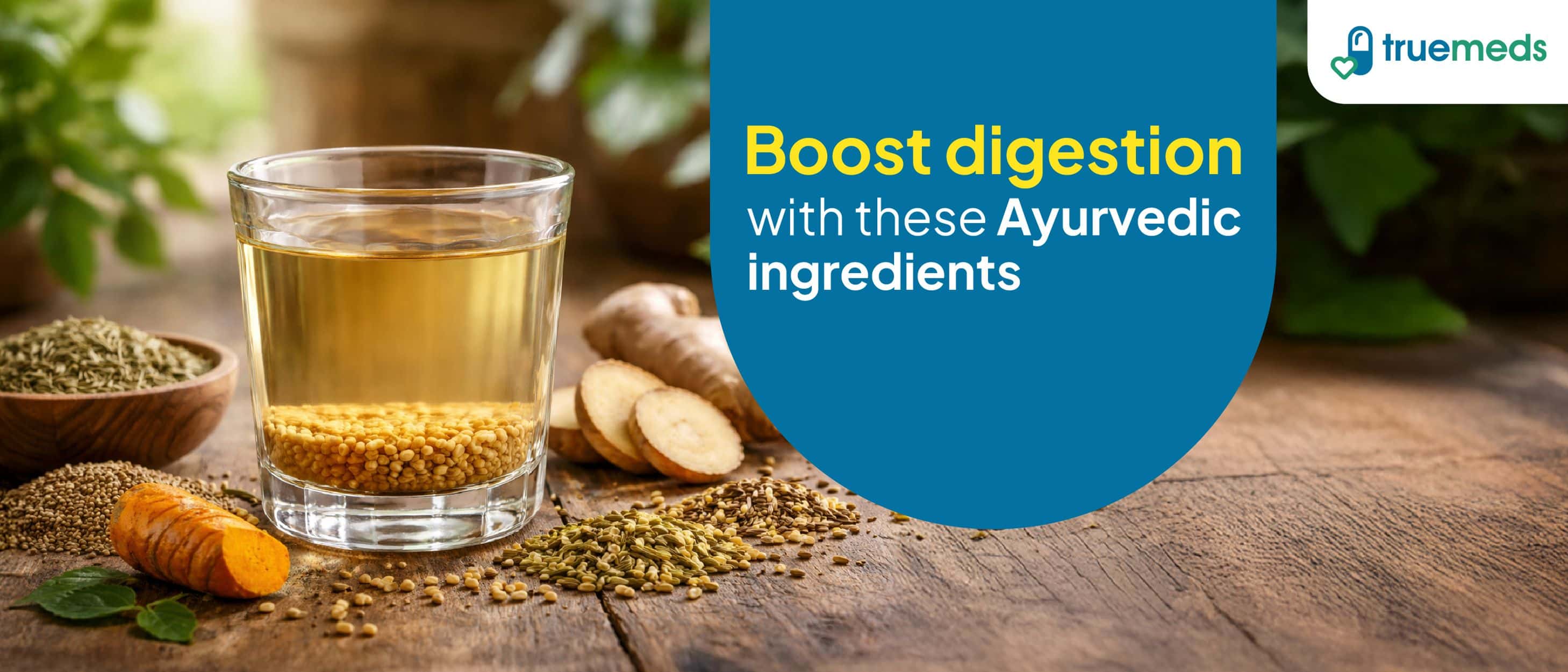 Top Ayurvedic Ingredients That Help With Digestion