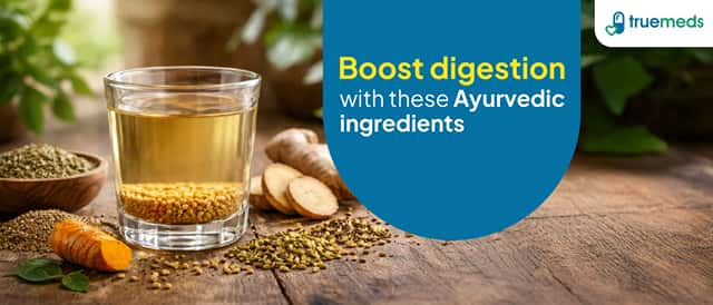 Top Ayurvedic Ingredients That Help With Digestion