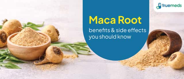 Maca Root: Benefits and Side Effects