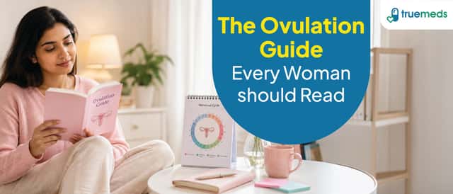 Ovulation Explained: What It Means and How to Track Your Fertile Window