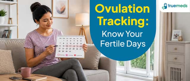 Ovulation & Fertile Window: How to Track