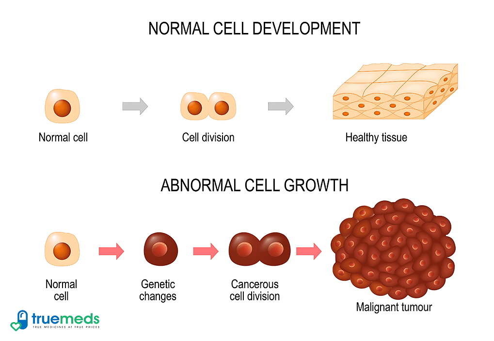 Normal-cell-vs-cancer-cell-development