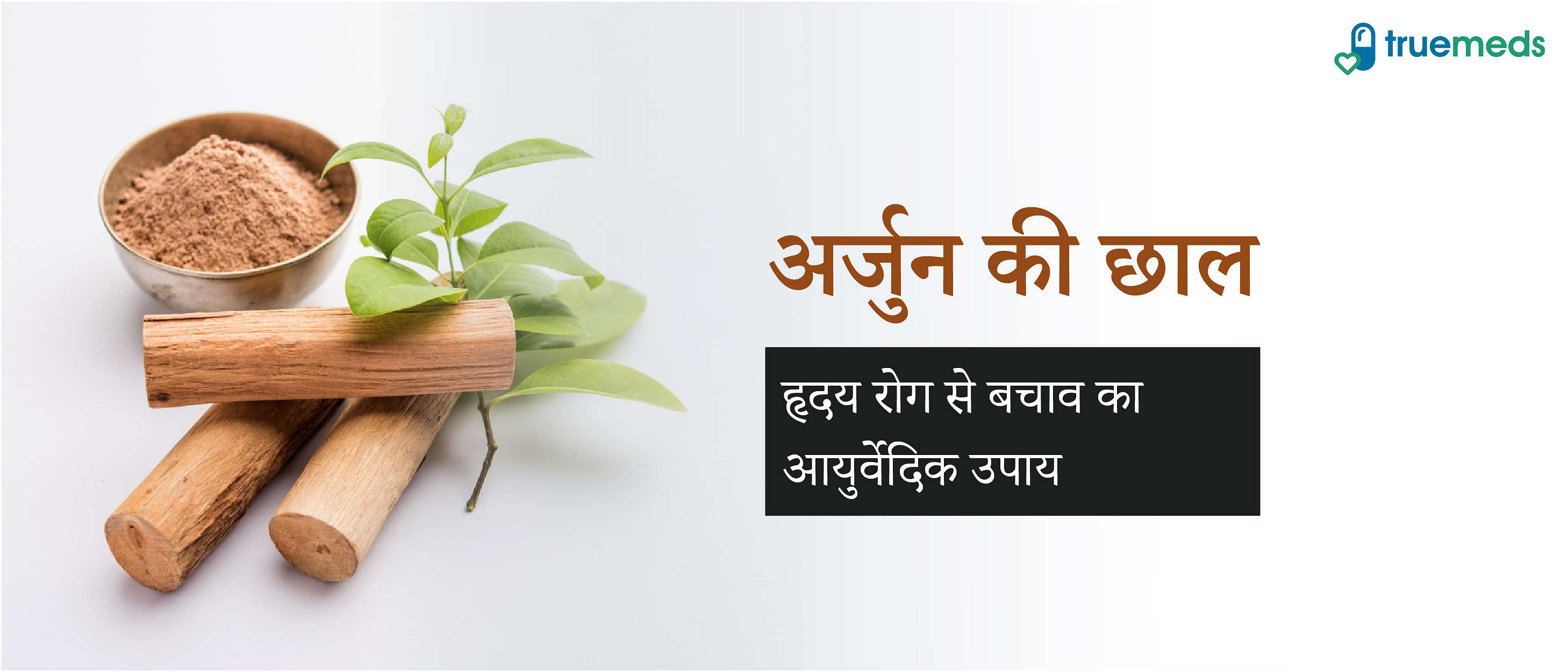 अर्जुन की छाल के फायदे, नुकसान और सही उपयोग