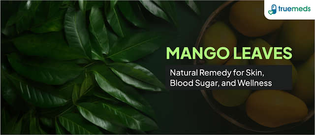 You Should Know About 8 Unknown Benefits Of Mango Leaves