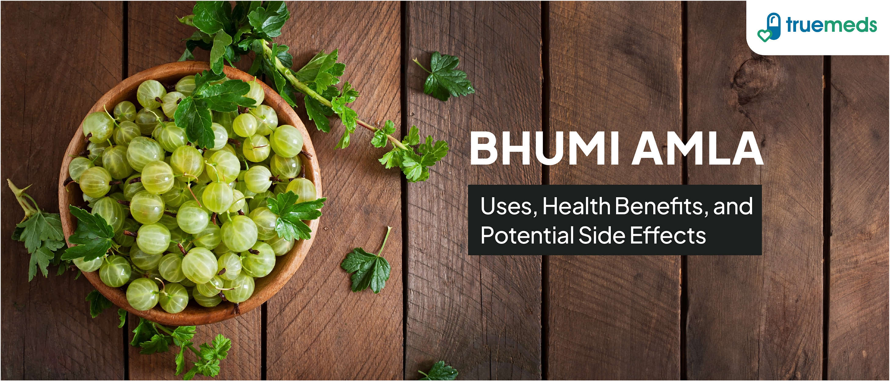 Bhumi Amla: Uses, Health Benefits, and Potential Side Effects