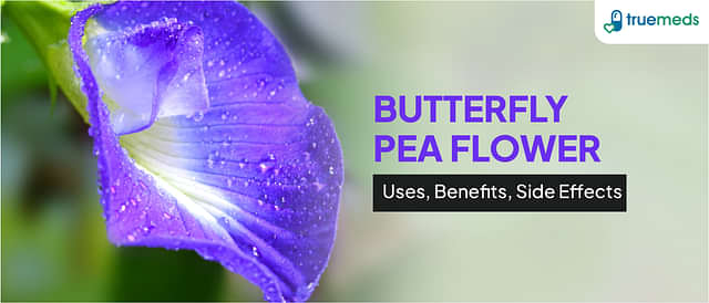 Butterfly Pea Flower: Uses, Benefits and Side Effects