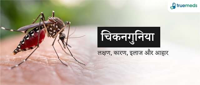 चिकनगुनिया क्या है? कारण, लक्षण, इलाज और आहार की पूरी जानकारी (Chikungunya in Hindi)