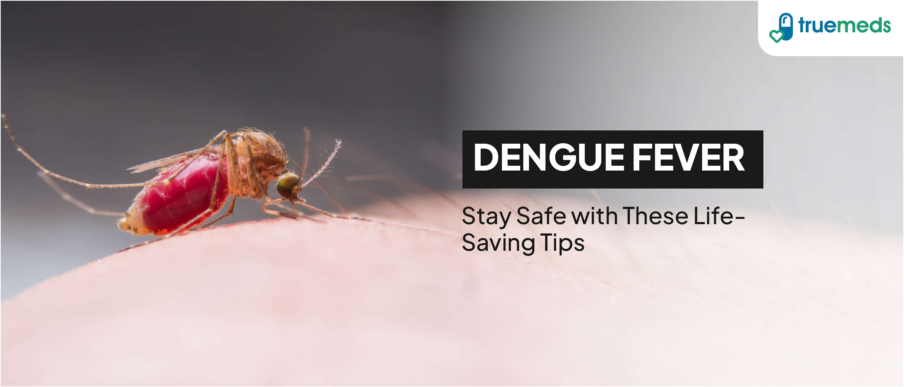 Dengue Fever: Symptoms, Causes, Types, and Prevention Tips