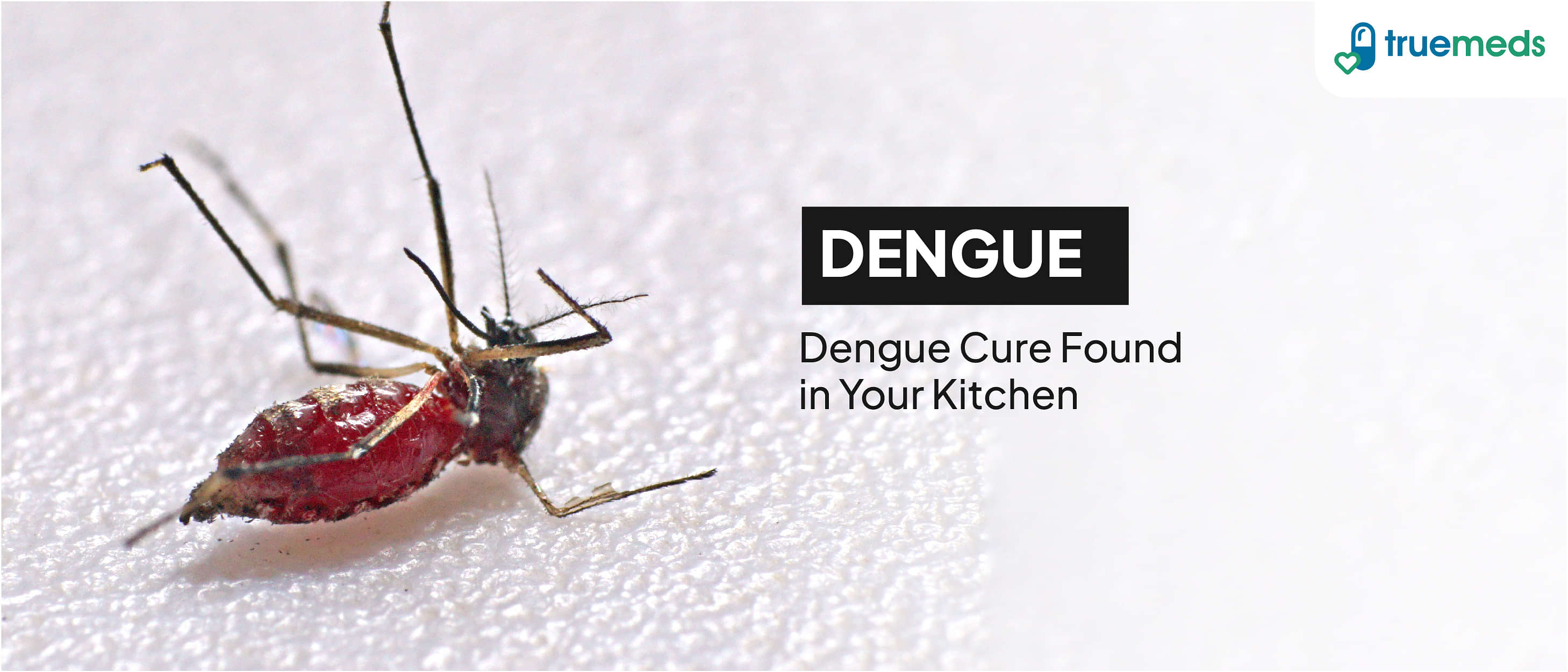 10 Effective Home Remedies for Dengue