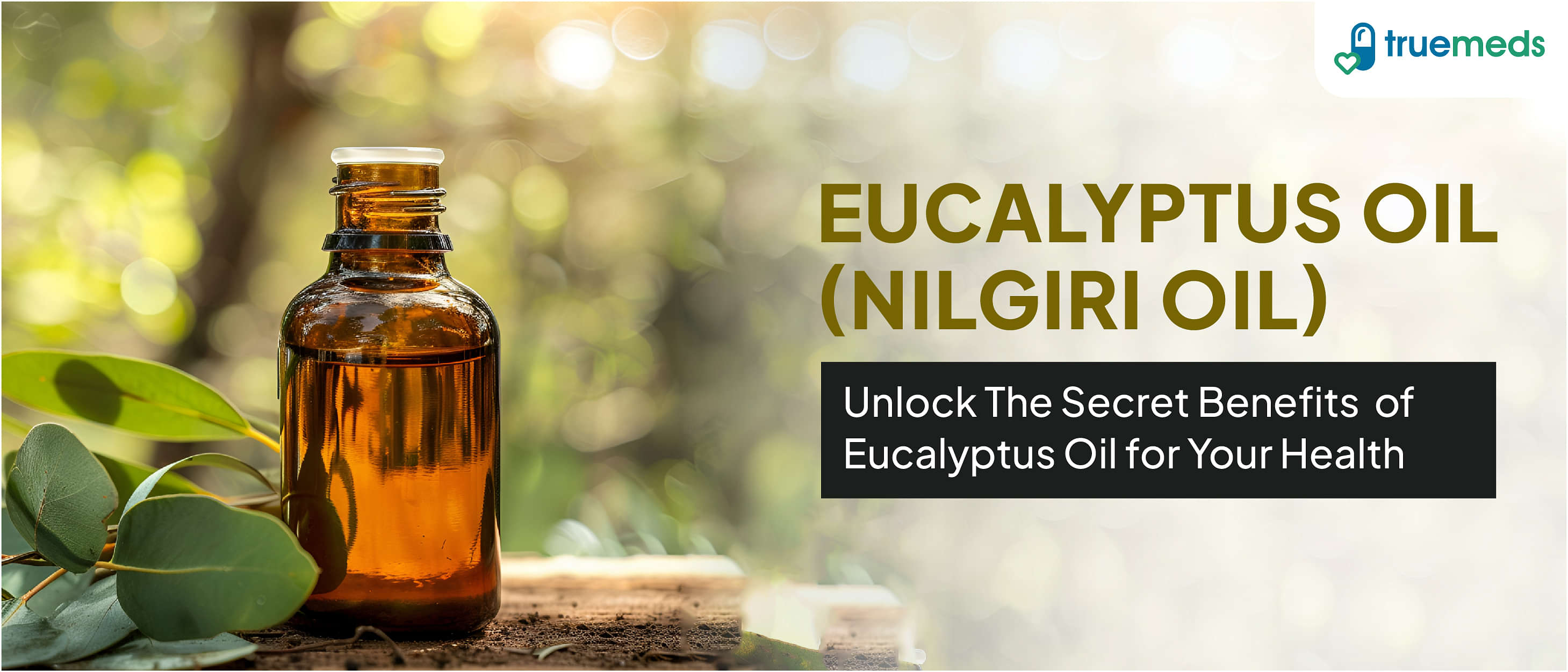 Eucalyptus Oil (Nilgiri Tel): Uses &amp; Benefits