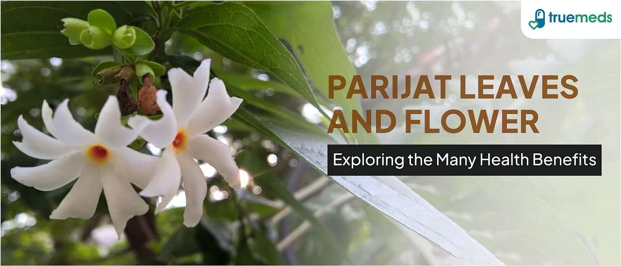 Exploring the Health Benefits of Parijat Leaves and Flowers