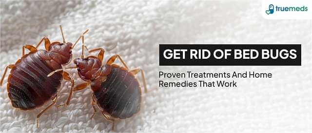 How to Get Rid of Bed Bugs: Effective Treatments and Home Remedies