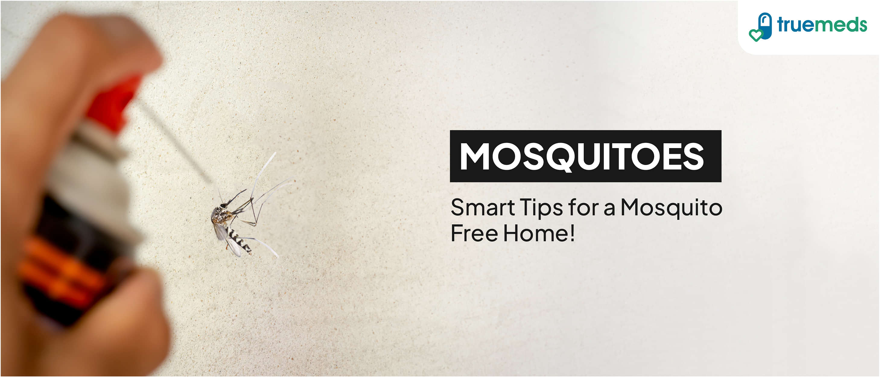 How to Get Rid of Mosquitoes at Home: Effective Tips and Remedies