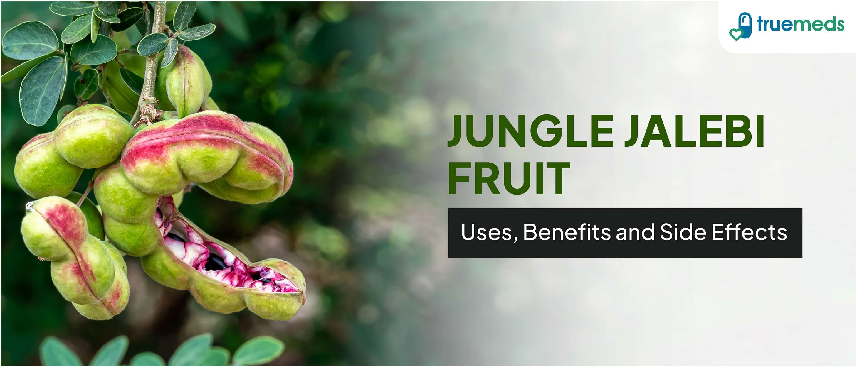 Jungle Jalebi Fruit: Uses, Benefits And Side Effects