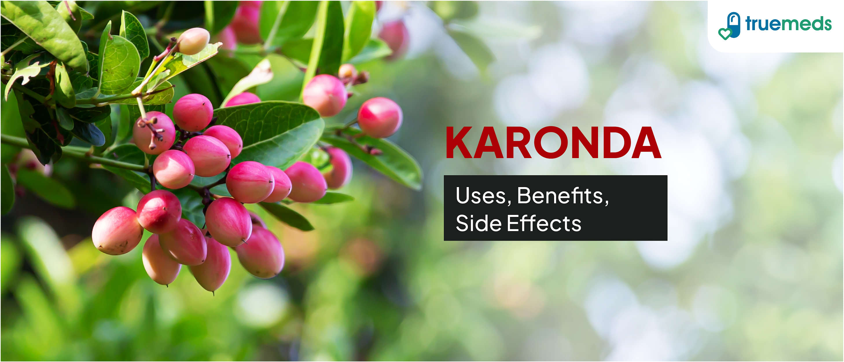 Karonda: Uses, Benefits, Side Effects