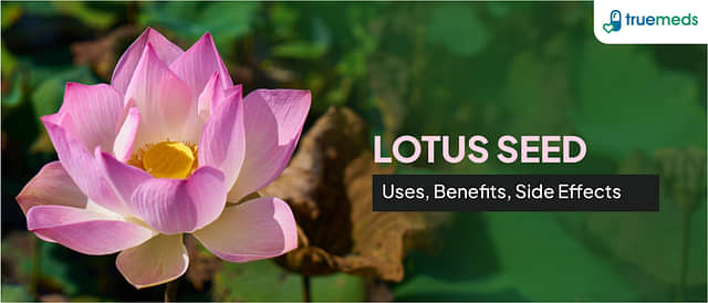 Lotus Seed (Makhana): Uses, Benefits, and Side Effects