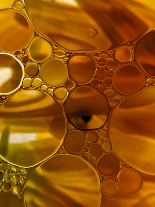 Rice Bran vs Sunflower Oil: Which is Better?