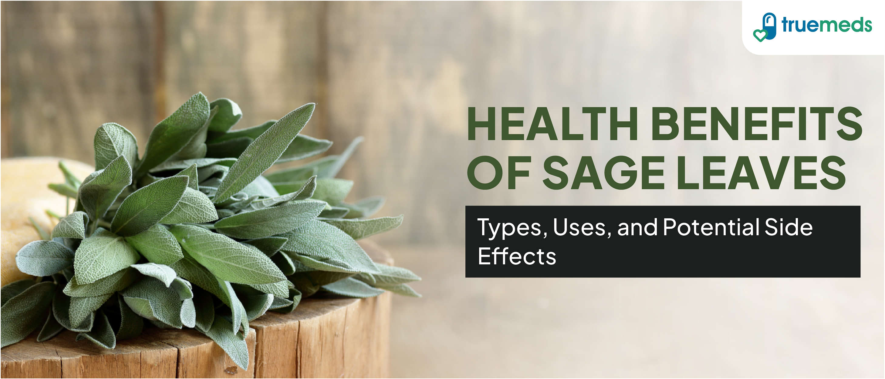 Health Benefits of Sage Leaves: Types, Uses, and Potential Side Effects