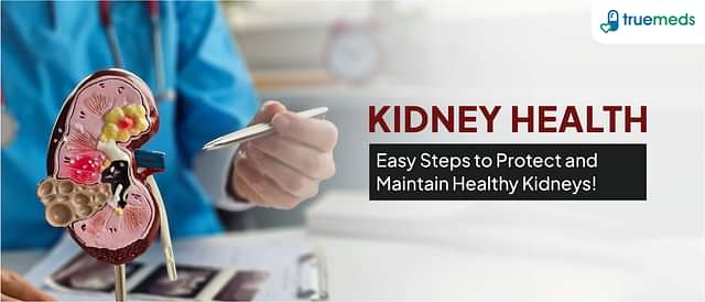 10 Ways to maintain Your Kidney Health