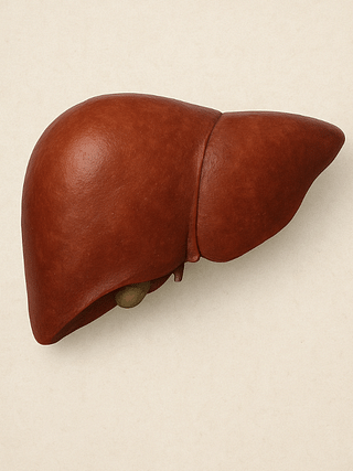 Top 5 Foods to Cleanse Your Liver Fast