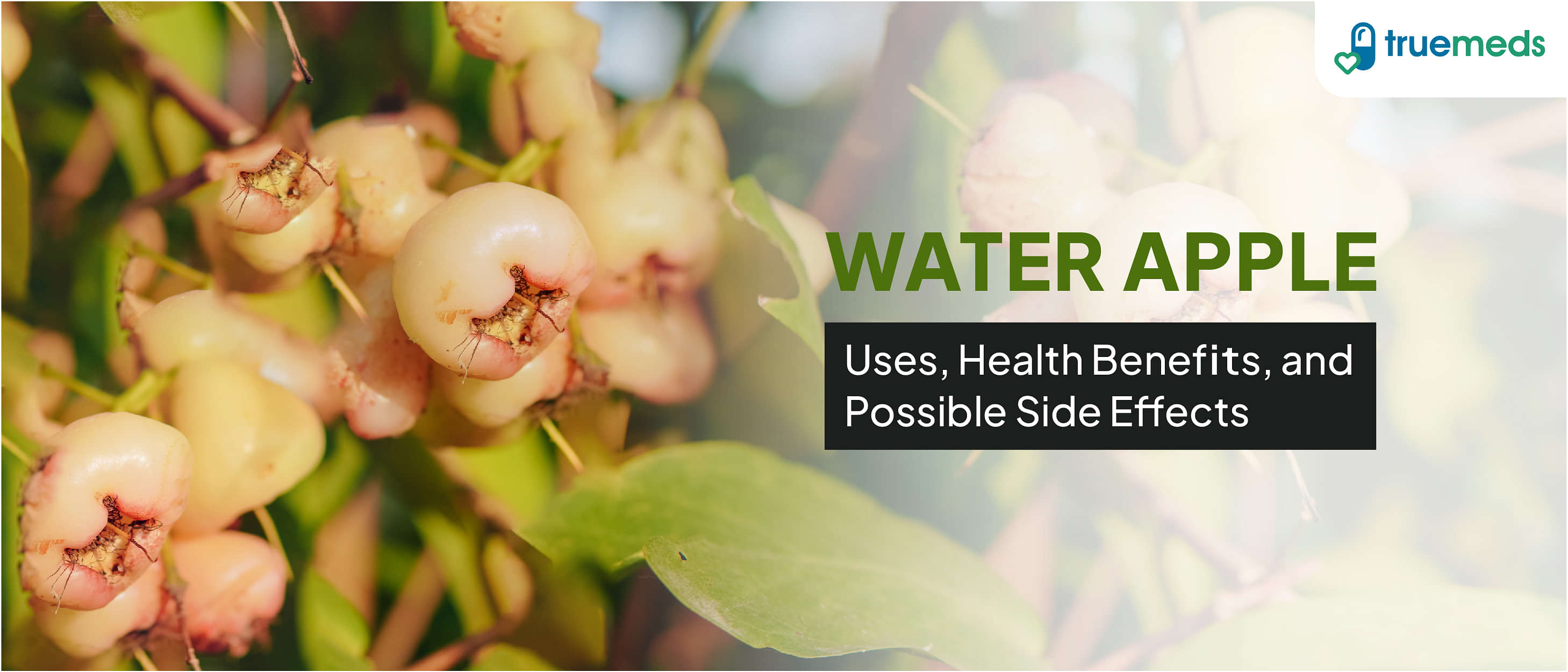 Water Apple: Uses, Health Benefits, and Possible Side Effects