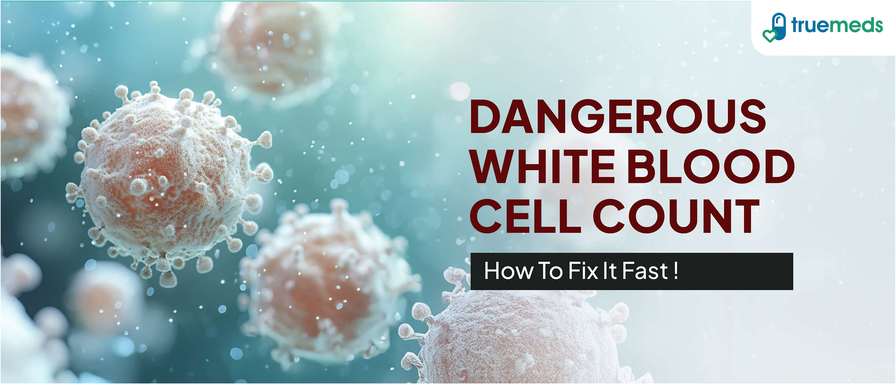 What is a Dangerous White Blood Cell Count and How to Increase It?