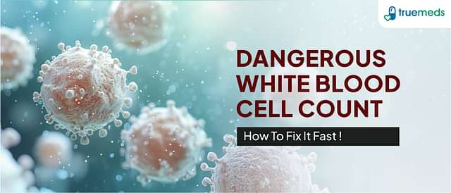 What is a Dangerous White Blood Cell Count and How to Increase It?